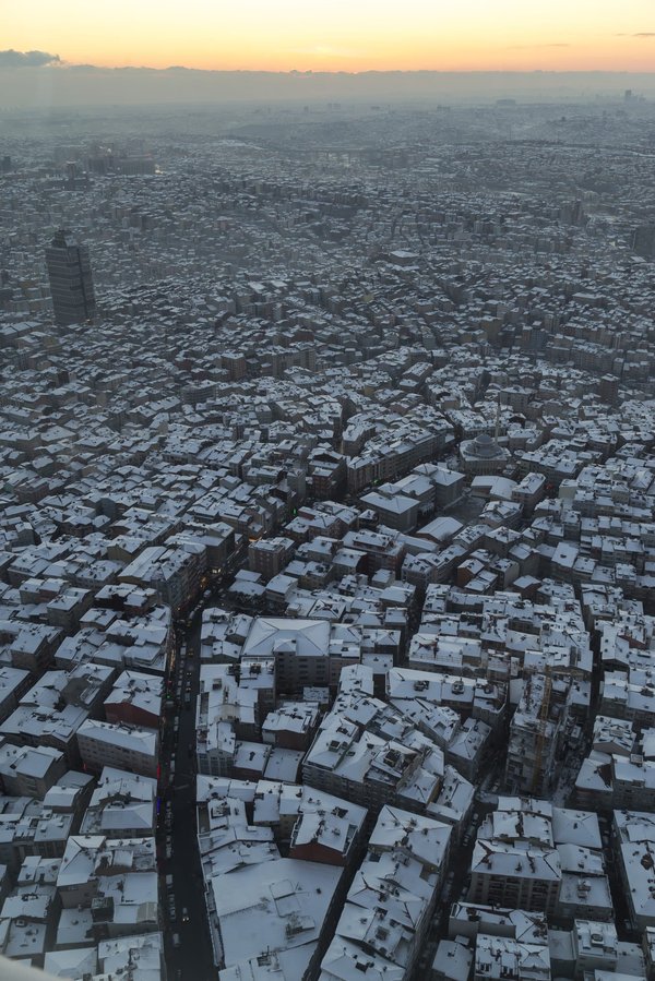 Quels sont les impacts de l'urbanisation sur la faune locale ?